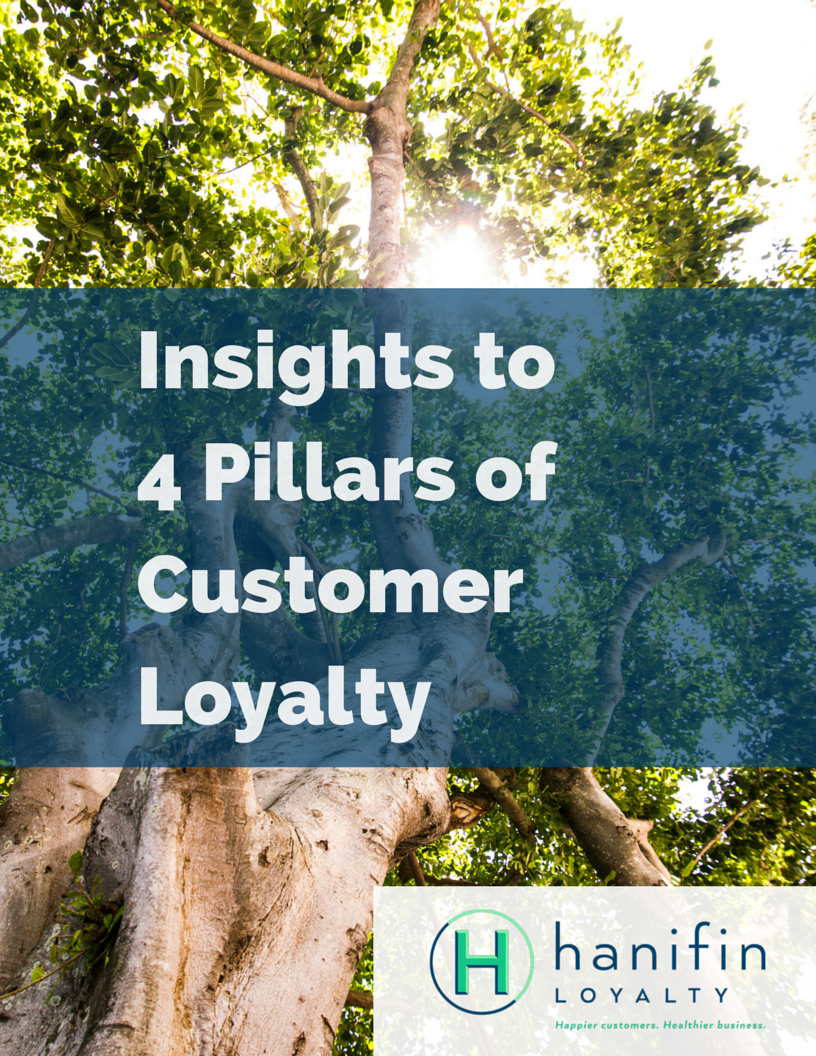 Insights to 4 Pillars of Customer Loyalty : ebook cover